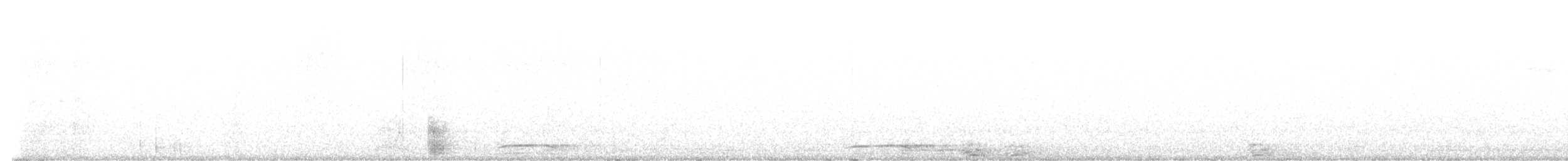 Collared Forest-Falcon - ML647888018