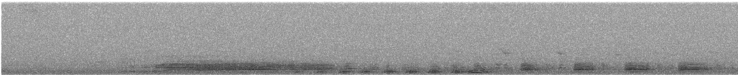 Barred Owl - ML647888431