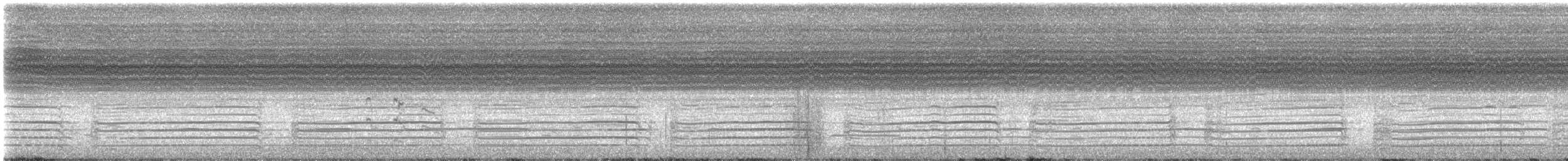 Little Corella - ML647888676