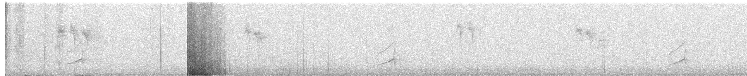 Double-crested Cormorant - ML647888912