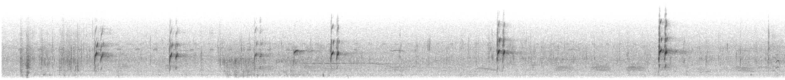 Pied Kingfisher - ML647889347