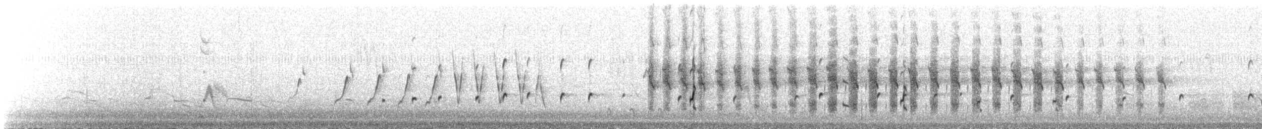 Arctic Tern - ML647889480