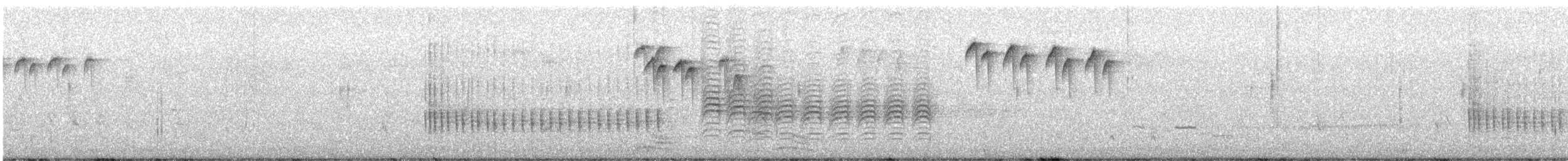 Belted Kingfisher - ML647890050