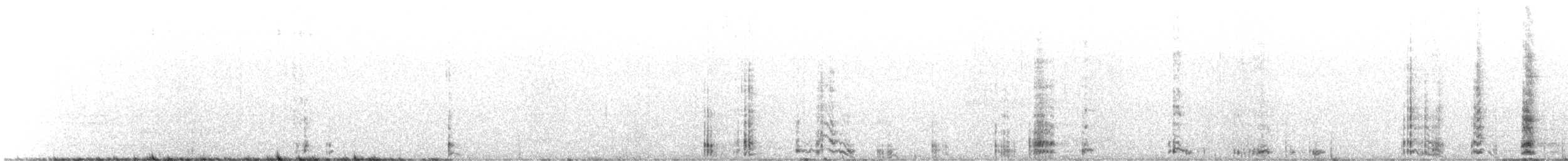 Common Raven - ML647890067