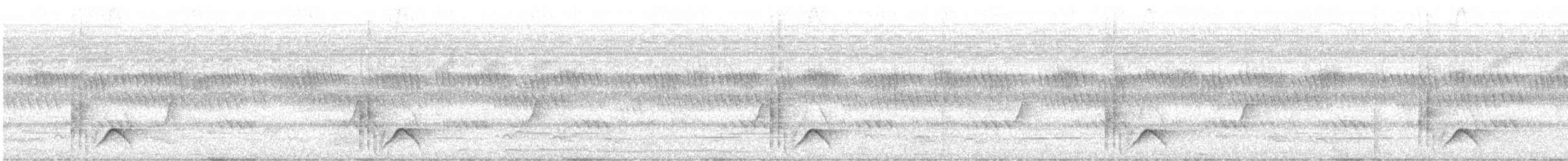 Black-backed Puffback - ML647890218