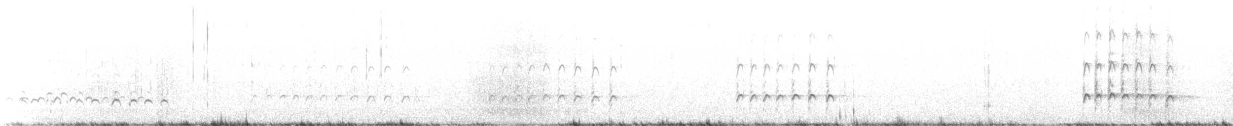 アメリカチュウシャクシギ - ML647890351