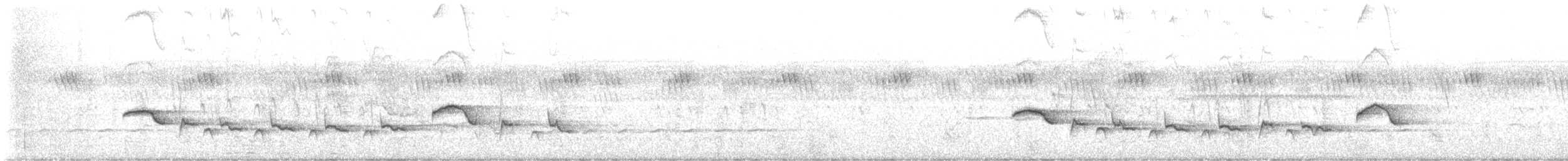 White-browed Scrub-Robin - ML647890436