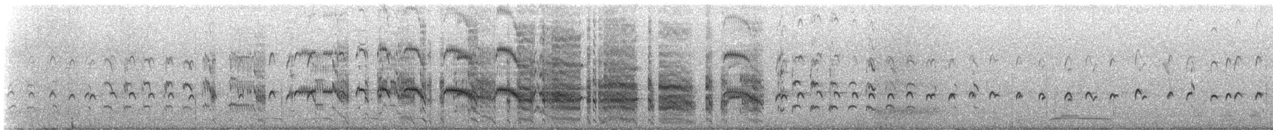 Arctic Tern - ML647890584