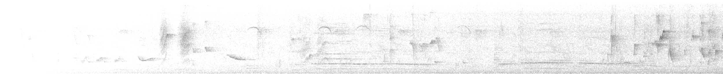 Black-naped Monarch - ML647890690