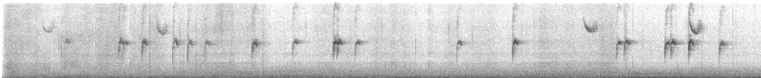 White-throated Sparrow - ML647890724