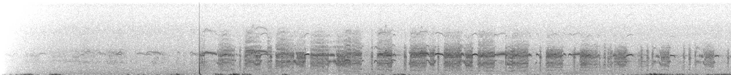 Arctic Tern - ML647890764