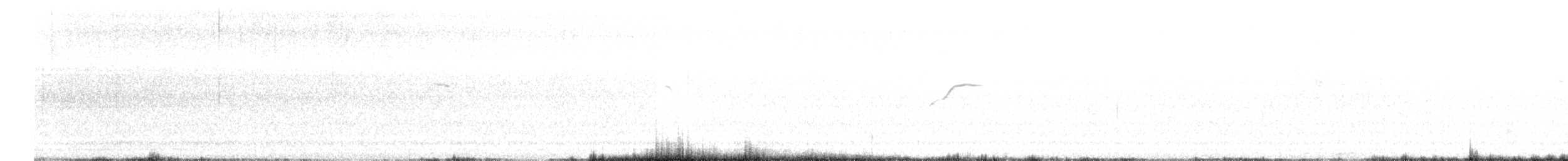 bird sp. - ML647890792