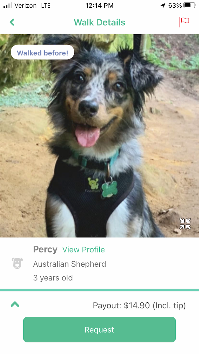 Double-crested Cormorant - ML647891310