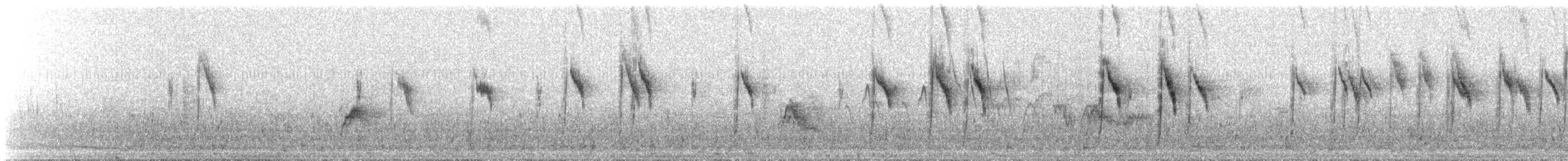 Eastern Yellow Wagtail - ML647891406