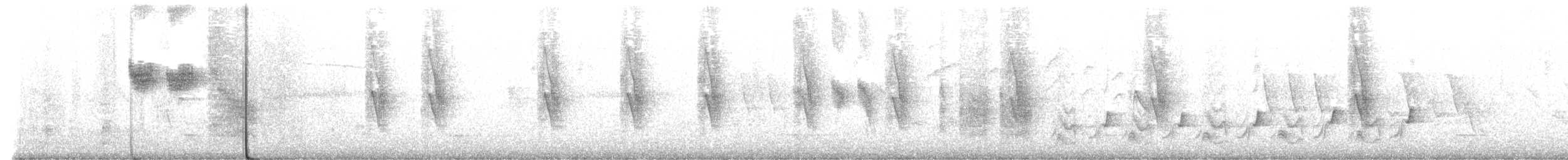 Carbonero Negro - ML647891753