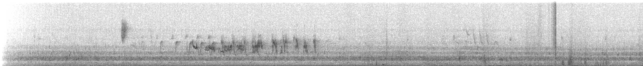 Grive à joues grises - ML647891782