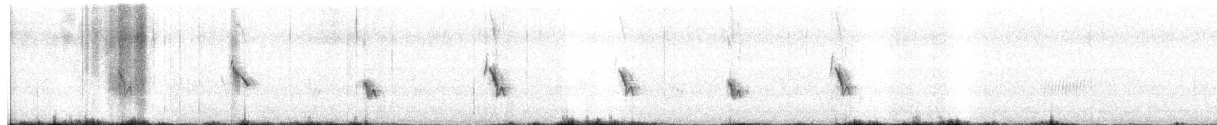 Nicholson's Pipit - ML647892632