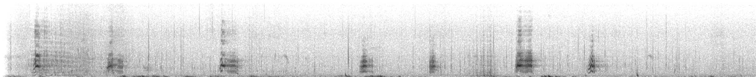 Harlequin Duck - ML647892847