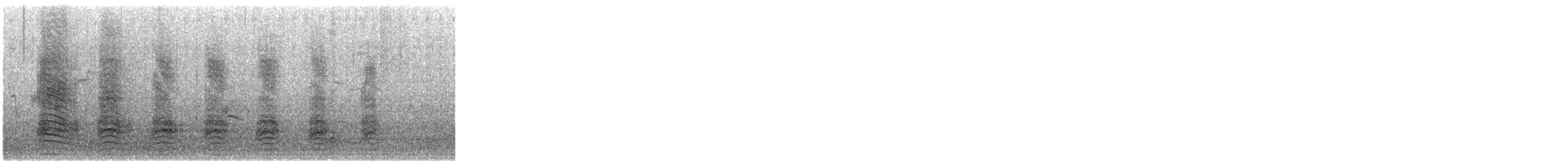 Mallard - ML647893252