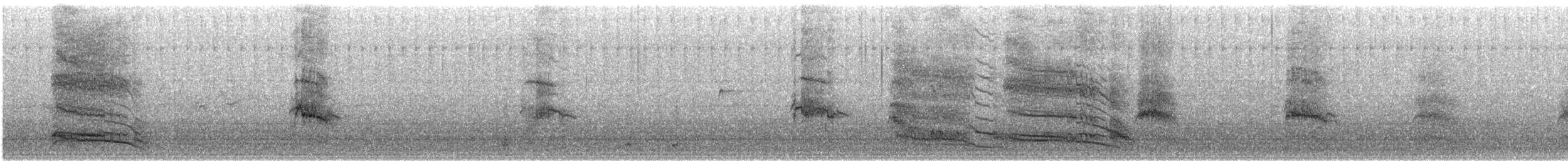 Black-headed Gull - ML647893261