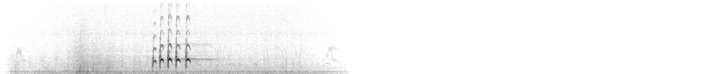 Hudsonian Whimbrel - ML647893814