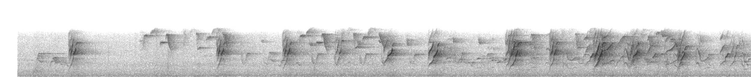 Plum-headed Parakeet - ML647893897