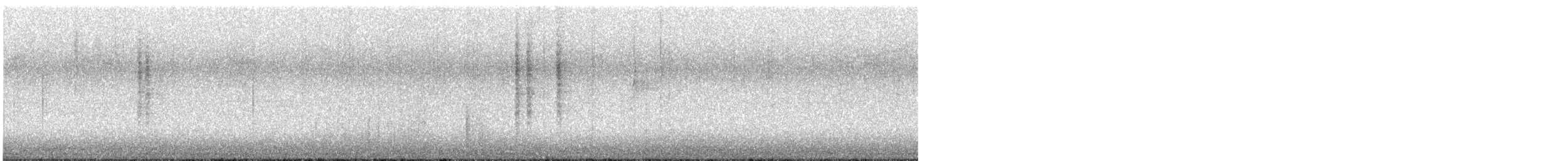 králíček americký - ML647899731