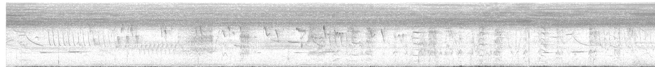 Striped Cuckoo - ML647901442