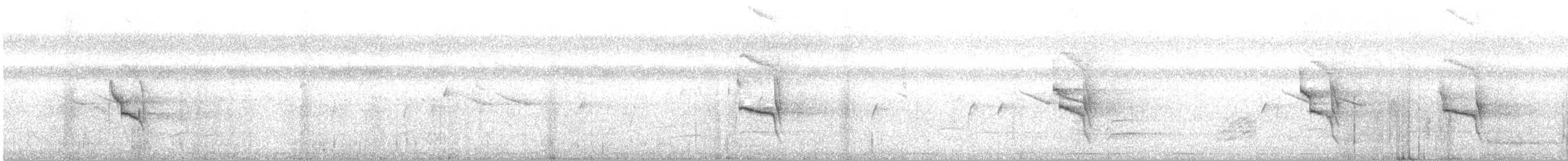 Social Flycatcher - ML647901460