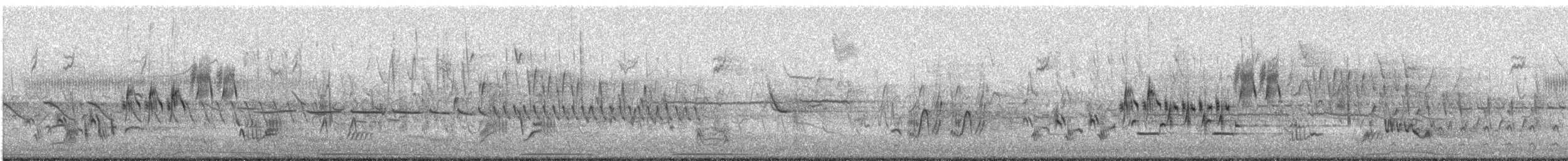 Lincoln's Sparrow - ML647901567