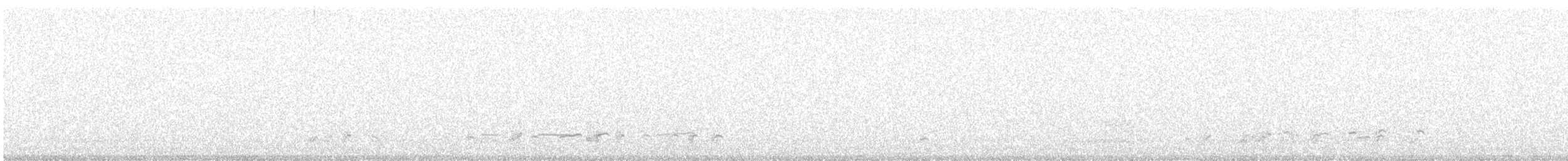 Eurasian Curlew - ML647901571