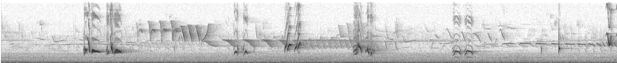 Brown Thrasher - ML647901752