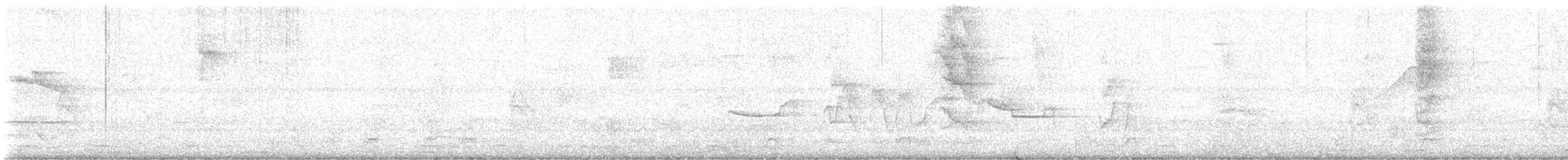 Jet Antbird - ML647902520