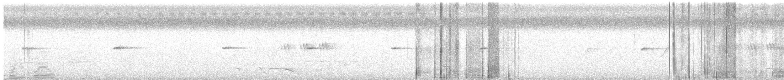 Pale-legged/Sakhalin Leaf Warbler - ML647902777