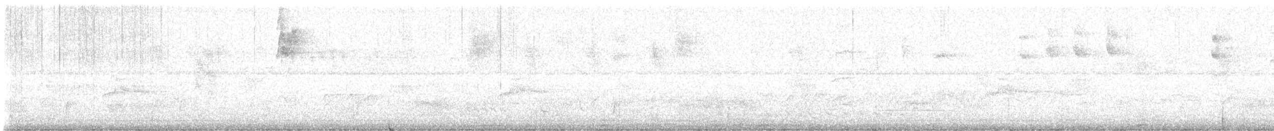 Tyran pirate - ML647903363