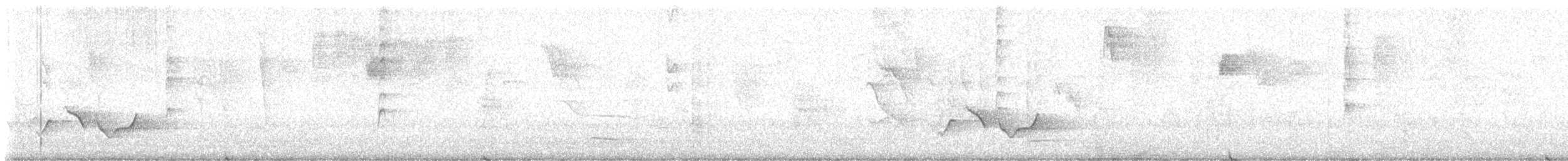 Troglodyte rufalbin - ML647903858