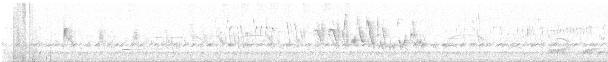 Tinamou tataupa - ML647903966