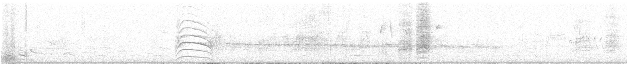 Batara bleuâtre - ML647904116