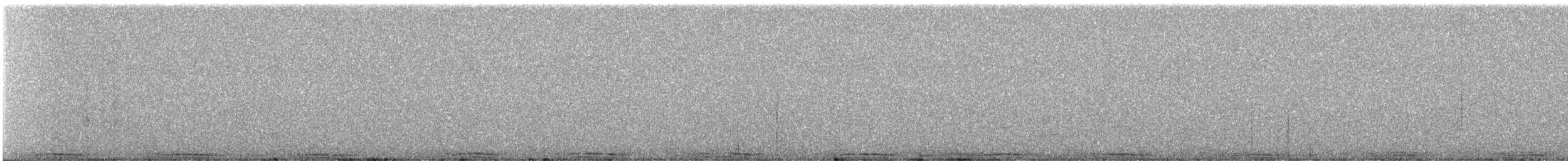 Pigeon biset (forme domestique) - ML647904270