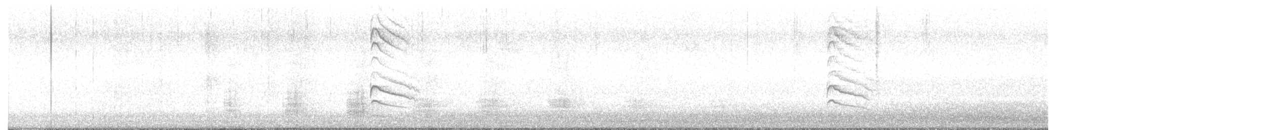 Pic maculé - ML647904348