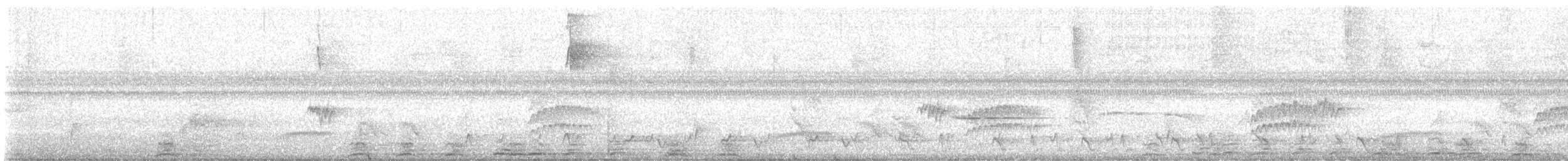 Troglodyte siffleur - ML647904376