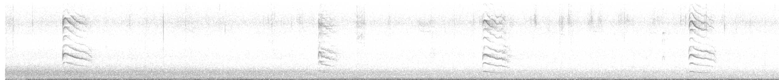 Pic maculé - ML647904380