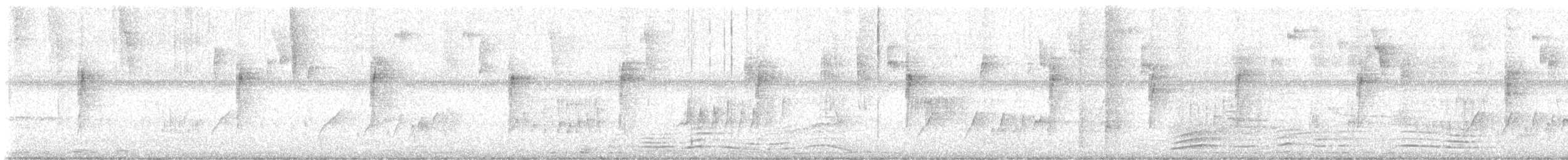 Tyranneau nain - ML647904653