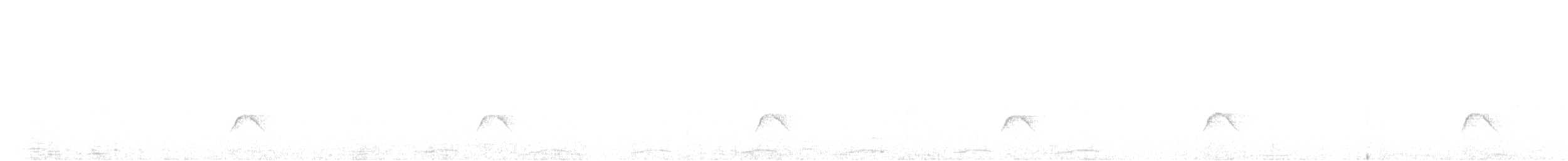 Élénie à cimier blanc - ML647904790