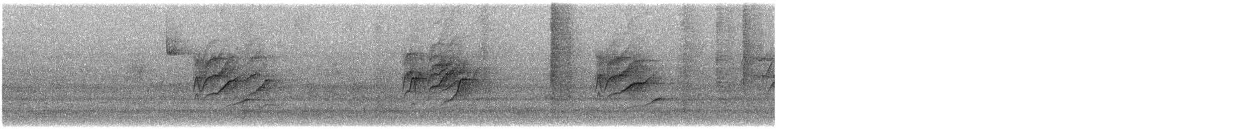 Jilguero Yanqui - ML647907443