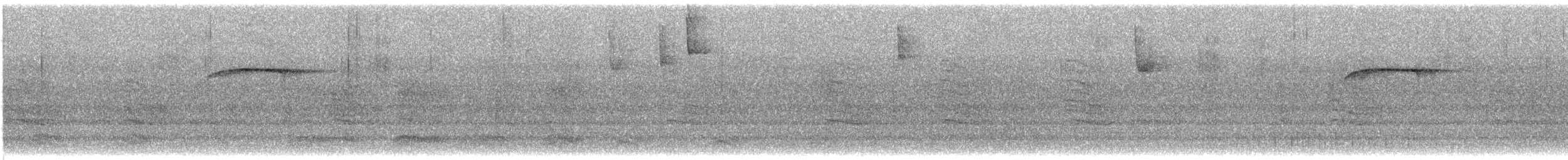 Ampelis Americano - ML647907458