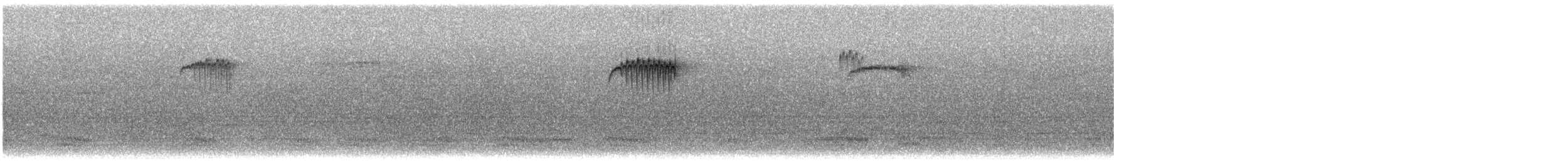 Ampelis Americano - ML647907464