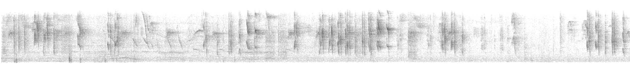 Brown Violetear - ML647908387