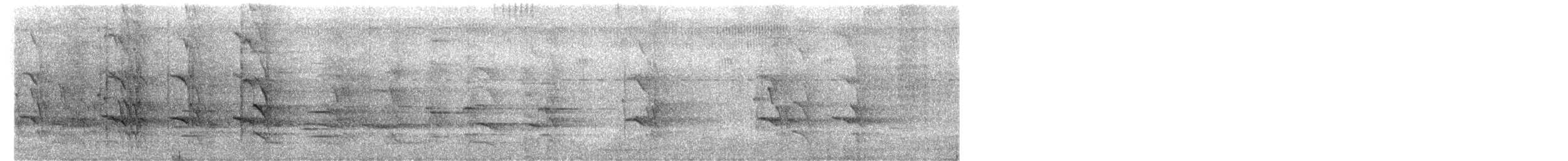 Singing Parrot - ML647908477