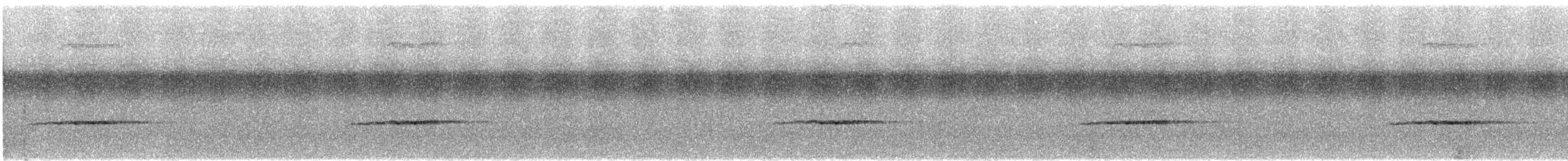 White-capped Monarch - ML647908502